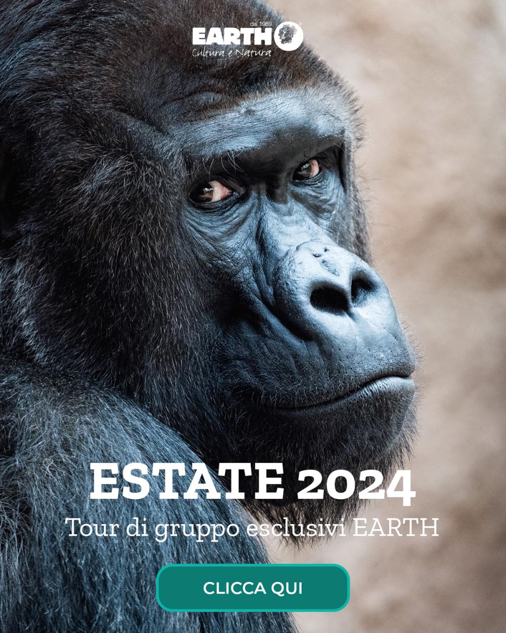 Estate 2024